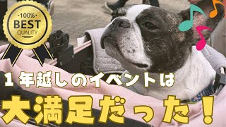 わんわんカーニバルに初参加したら・・・