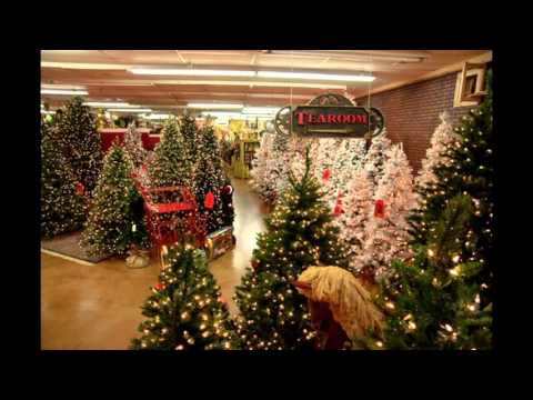 James Acaster buys a Christmas Tree - Classic Scrapes