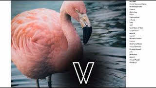 Mondkopf - Vivere (Finale)