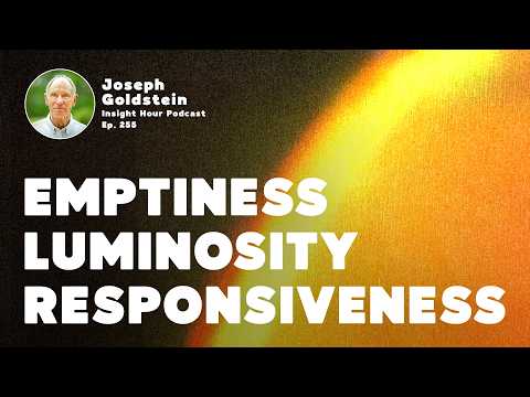 Buddhist Teachings on Emptiness, Luminosity & Responsiveness w/ Joseph Goldstein | Insight Hour 255