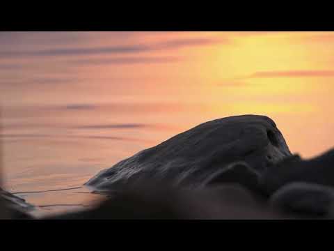 Nie odchodź ode mnie