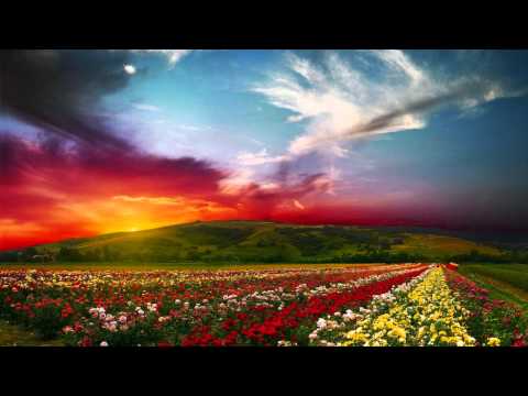 Watergate - 10. Secret Garden