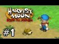 Harvest Moon Back To Nature Inicio 1