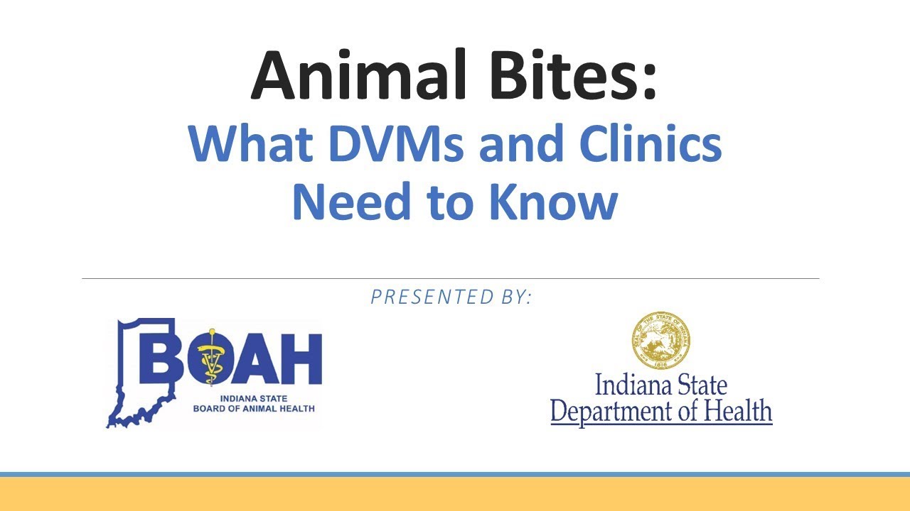 Animal Bites: What DVMs and Clinics Need to Know, Webinar Recording, February 2019