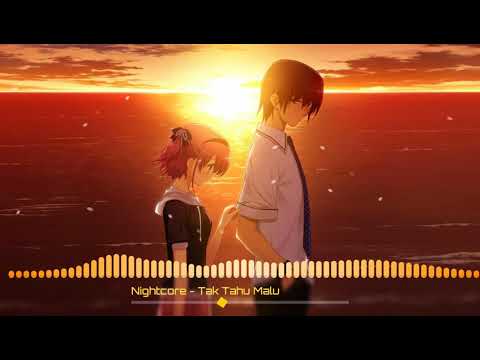 Nightcore - Tak Tahu Malu