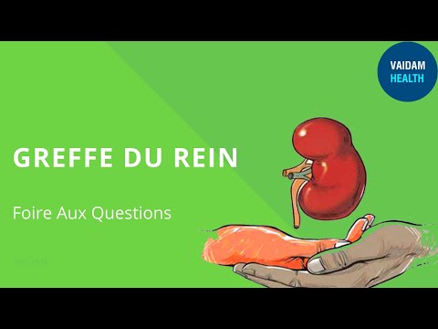GREFFE DU REIN