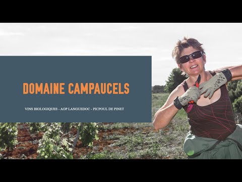 DOMAINE CAMPAUCELS | VIN BIO 🍇| PRÉSENTATION du DOMAINE