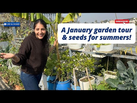 My January garden tour|Summer seeds to start|Flowers and vegetables in my garden|