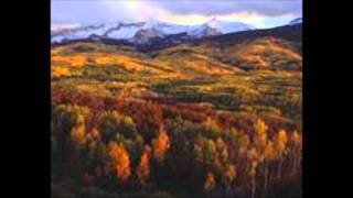 Bound By The Beauty - Holly Near