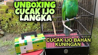 Download lagu UNBOXING CUCAK IJO BAHAN || CUCAK IJO LANGKA mp3