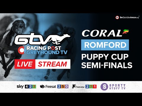 Coral Romford Puppy Cup Semi-Finals | Live Greyhound Racing