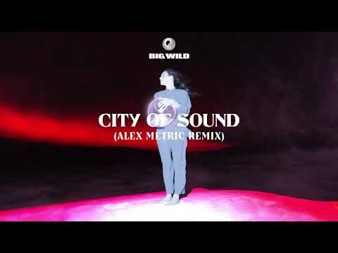 Big Wild - City of Sound (Alex Metric Remix)