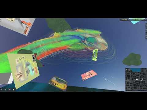 Dream Cavity｜Curator's Guide