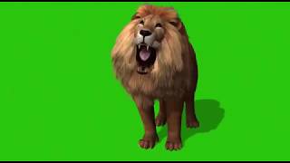 best lion green screen video for chroma key