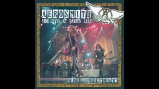 Aerosmith 19 Falling Off Darien Lake 1997