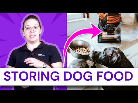 Storing Dog Food Kibble and Wet Food