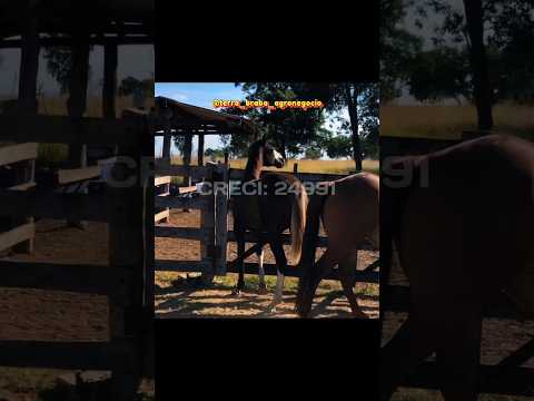 Fazenda à Venda no Tocantins | 2.138 Hectares, Dupla Aptidão, Água Abundante e Estrutura Completa