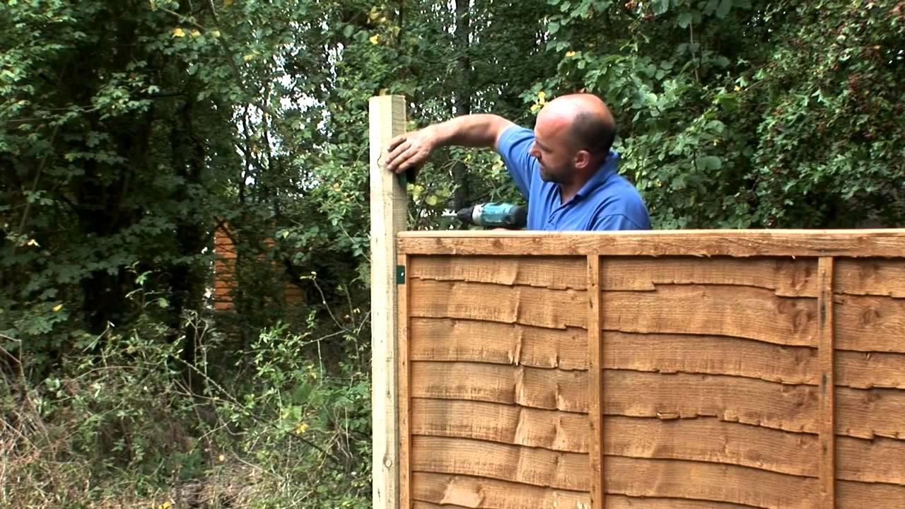 Watch video How to Fix Trellis On Top of Fence Panels Now How to Fix Trellis On Top of Fence Panels