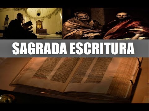 The Bible and Protestantism (Reasons to be Catholic) #CatholicApologetics