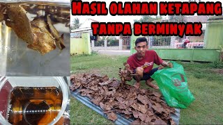Download lagu Cara mengolah daun ketapang agar tidak berminyak || Cupangenyong mp3