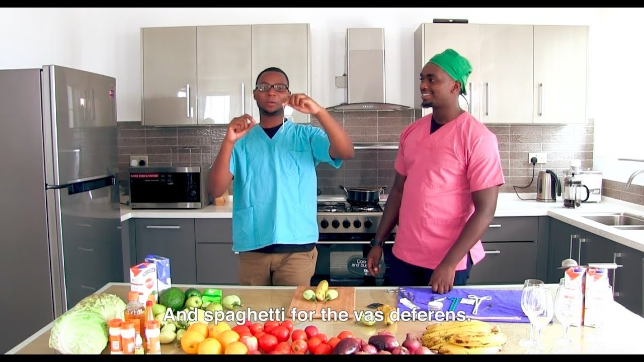 Demonstration of the vasectomy procedure using eggplants and spaghetti: