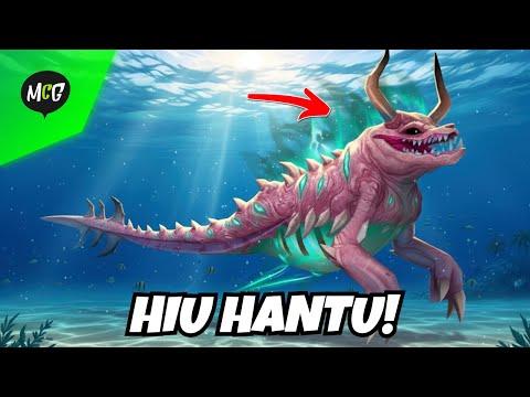 Hiu Hantu Terbaru!
