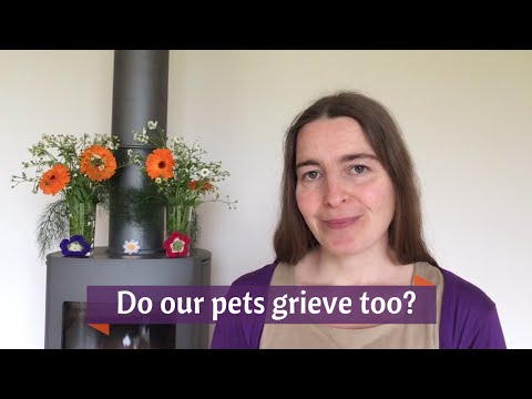 Do our pets grieve too? (when their animal friends die)