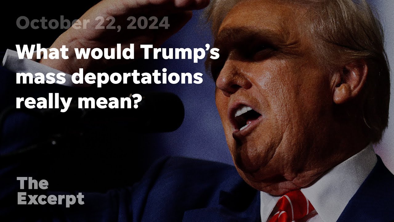 What would Trump’s mass deportations really mean? | The Excerpt
