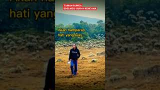 Download lagu HAMPARAN BUNGA EDELWEIS SURYA KENCANA GUNUNG GEDE#shorts #pendaki #camping #surya mp3 Download lagu HAMPARAN BUNGA EDELWEIS SURYA KENCANA GUNUNG GEDE#shorts #pendaki #camping #surya mp3