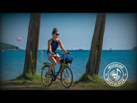 Victor - stiliova (N-18)