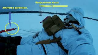 Как охотится на лису с манком