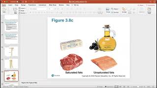 Ch. 3 (Biological Molecules)