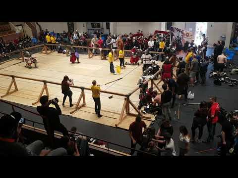 (szczecin 13.10.2018 plwr) sierotki 2 vs the order of st.george (fight 30, group stage)