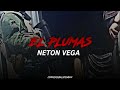 El Plumas - Neton Vega| Estudio (Corridos 2024)