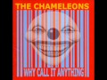 Dangerous Land - The Chameleons 