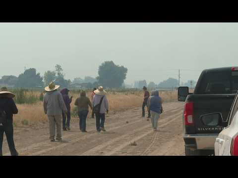 Ktvb Breaking News