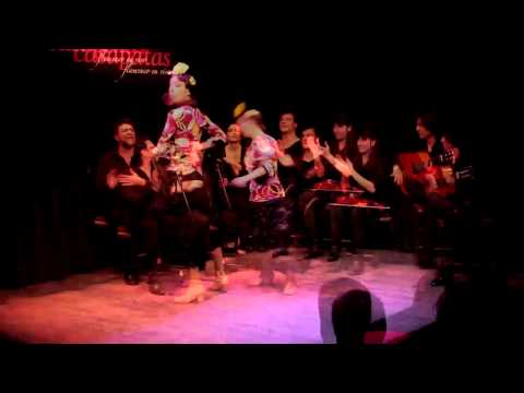 Casa Patas 2014 - Mariana Collado (Alegrías)