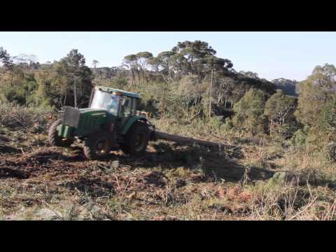 Mini SKidder TMO TF80 em corte raso de pinus