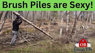 Brush Piles are Sexy!!! [The How and Why of Brush Piles]