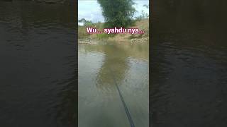 Download lagu tempat mancing yang syahdu #shortsviral #fishing #mancing #soundviral #shorts mp3 Download lagu tempat mancing yang syahdu #shortsviral #fishing #mancing #soundviral #shorts mp3