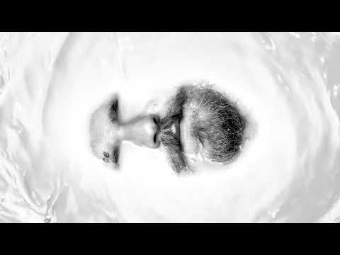 Thumbnail from 911 lyric video by Teddy Swims