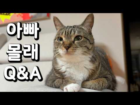 우리집 넷째 계획은요