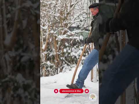 Streusalz-Alternativen: Sicher und ökologisch durch den Winter