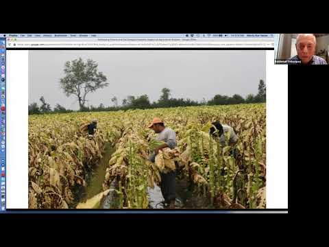 Food Systems Friday Episode 17 - Addressing Poverty and the Systemic Neglect of Agricultural Workers