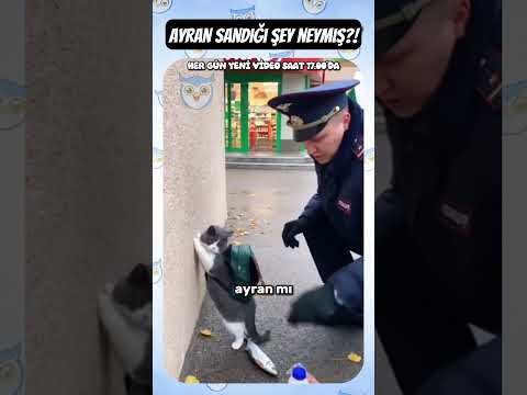 BEN ONU RAKI SANDIM!