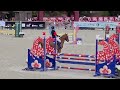 Superbe ponette C, Championne de France 
