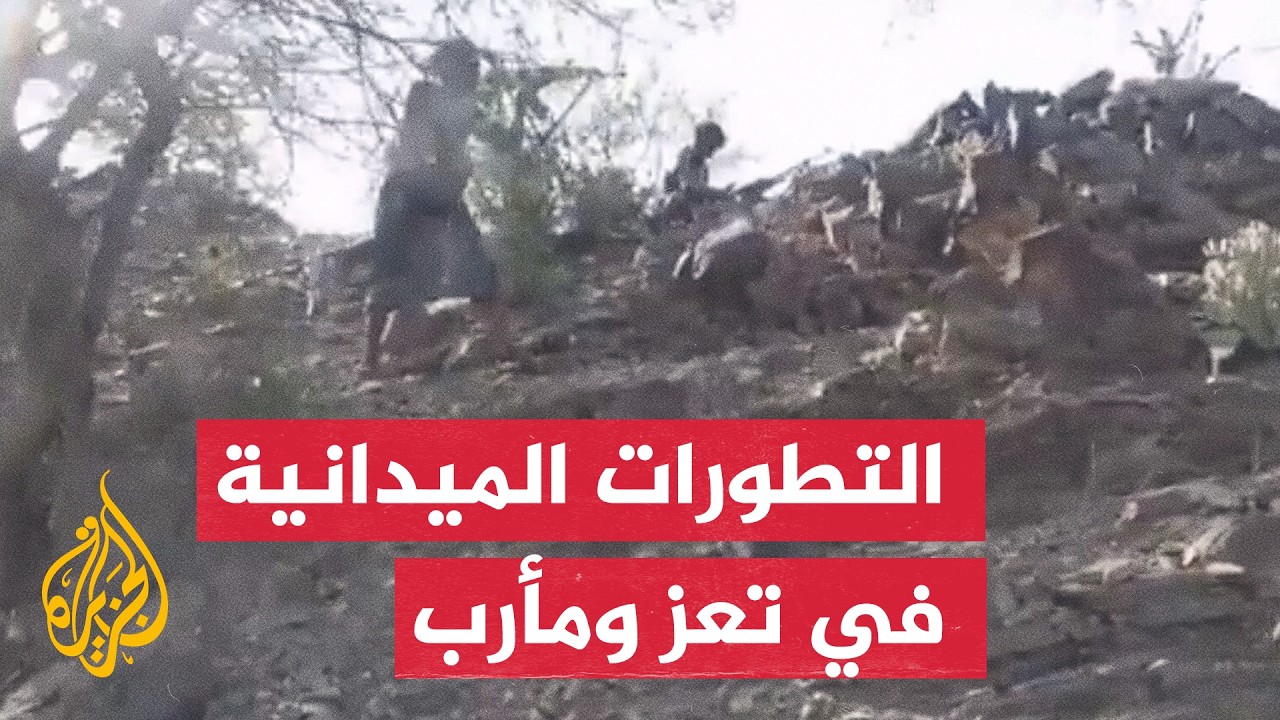 تقدم القوات الحكومية اليمنية في خنادق الجوف والبيضاء