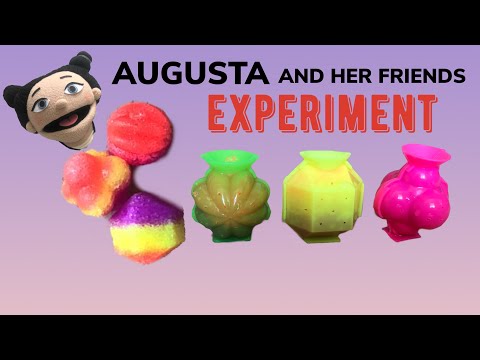 FUNNY EXPERIMENT — WOW - with muppet AUGUSTA — Mary had a little lamb
