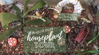 Houseplant Tour
