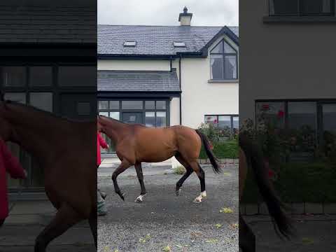 Video 2